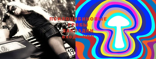 apvp Михайлов