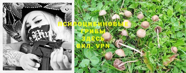 apvp Михайлов