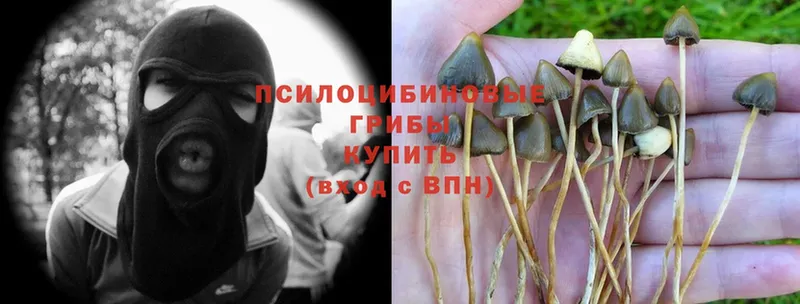 Псилоцибиновые грибы Magic Shrooms  Тюкалинск 