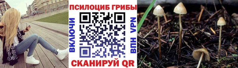 Галлюциногенные грибы прущие грибы  Тюкалинск 